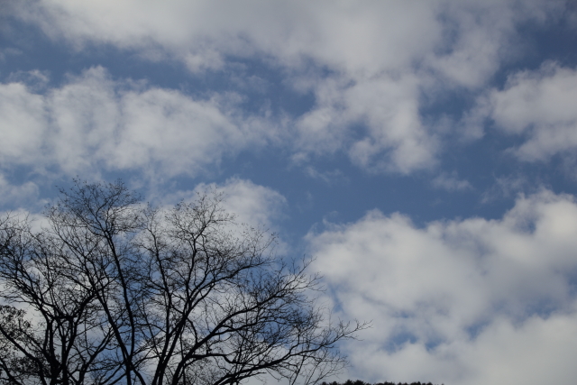 旅の空