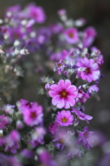 春だと思ってました。