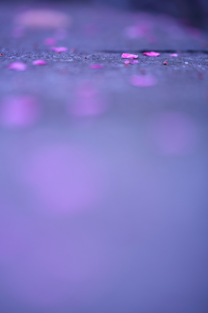 うめのゆめ