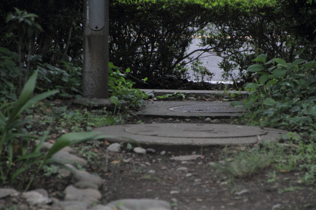 通り道