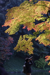 紅葉人