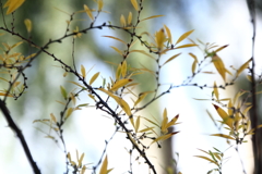 ワカメ町二丁目