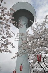 見上げれば