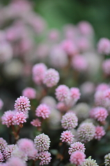 まりこの毎日に