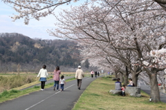 お散歩日和