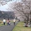 お散歩日和