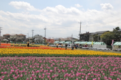 お祭り気分