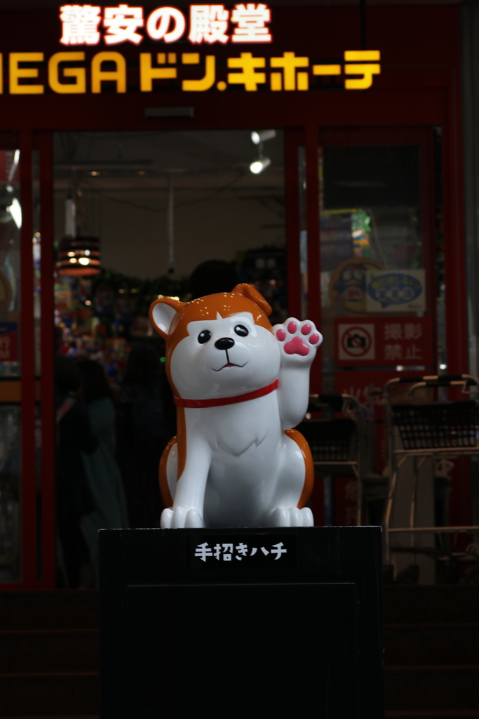 いらっしゃい♪