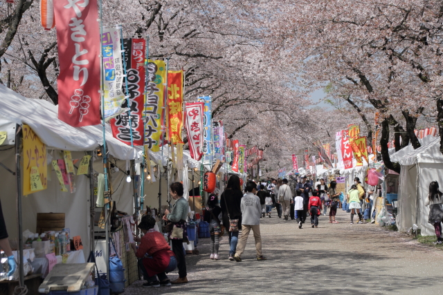 花見街道