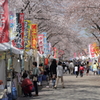 花見街道