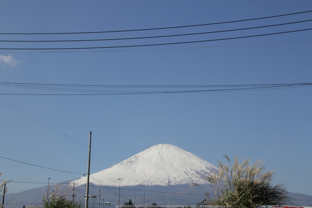 日本晴れ
