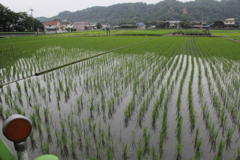 田舎暮らし