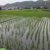 田舎暮らし