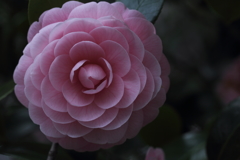 まっすぐであれ。