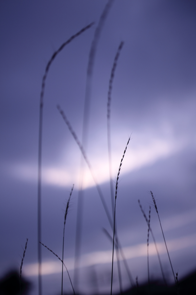 海には青い夕日が落ちて