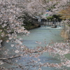 はじまりの場所