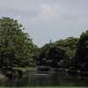 緑の森の橋の上