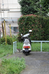 三田さんはミタ!!