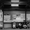 行き交う人はみな旅人でした。