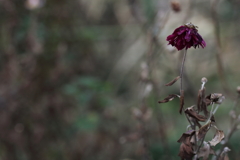 うつむかないで