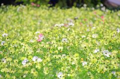 うしろの正面だあれ