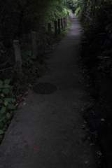 どこまでも