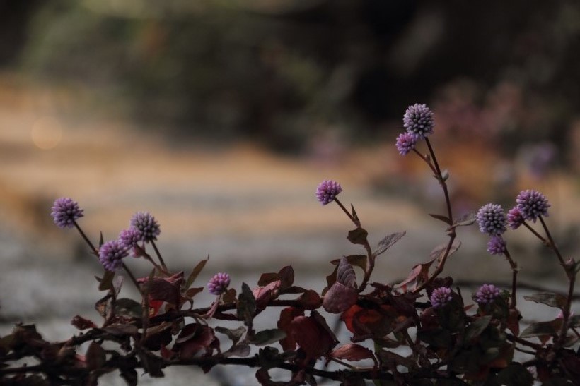 はいつくばって