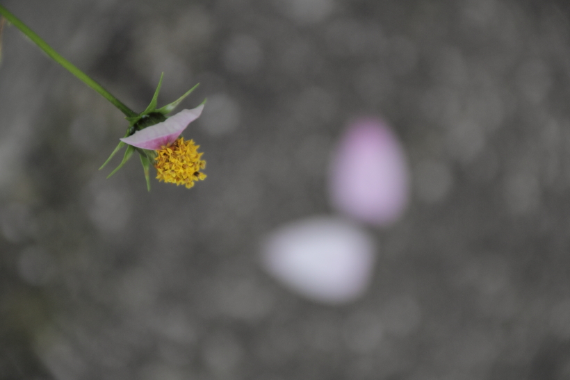 指切りげんまん