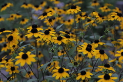 一番じゃなくてもいい