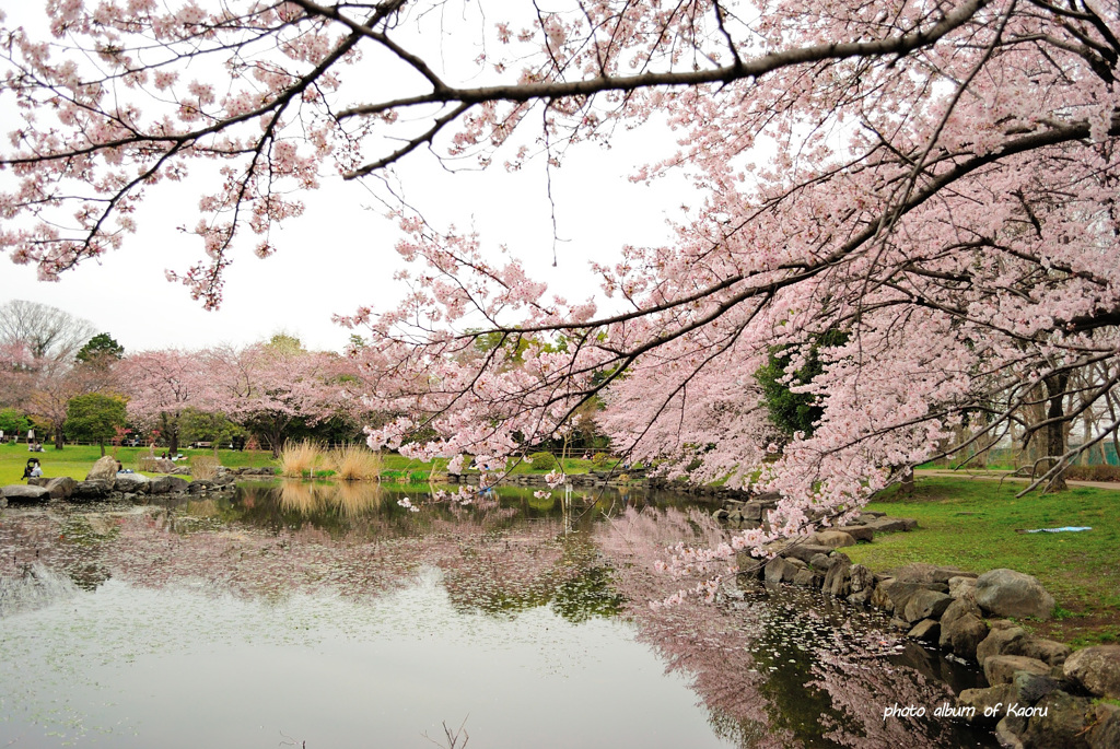 見沼氷川公園