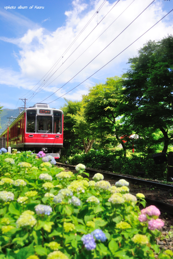 あじさい登山鉄道