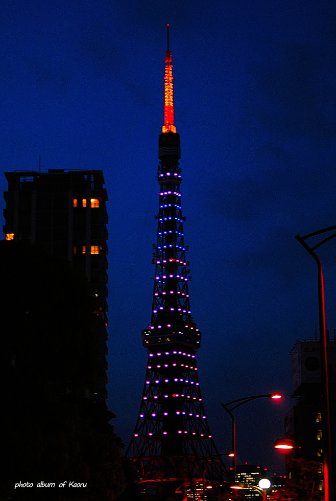 東京タワー（星条旗カラー）