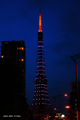 東京タワー（星条旗カラー）