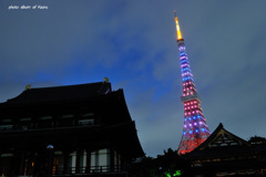 増上寺から望む東京タワー（ハロウィンライトアップ）