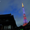 増上寺から望む東京タワー（ハロウィンライトアップ）