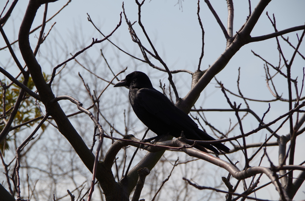 IMGP0863