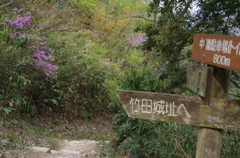 IMGP3645