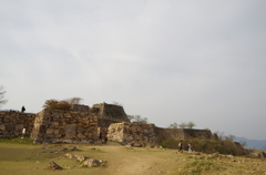 IMGP3721