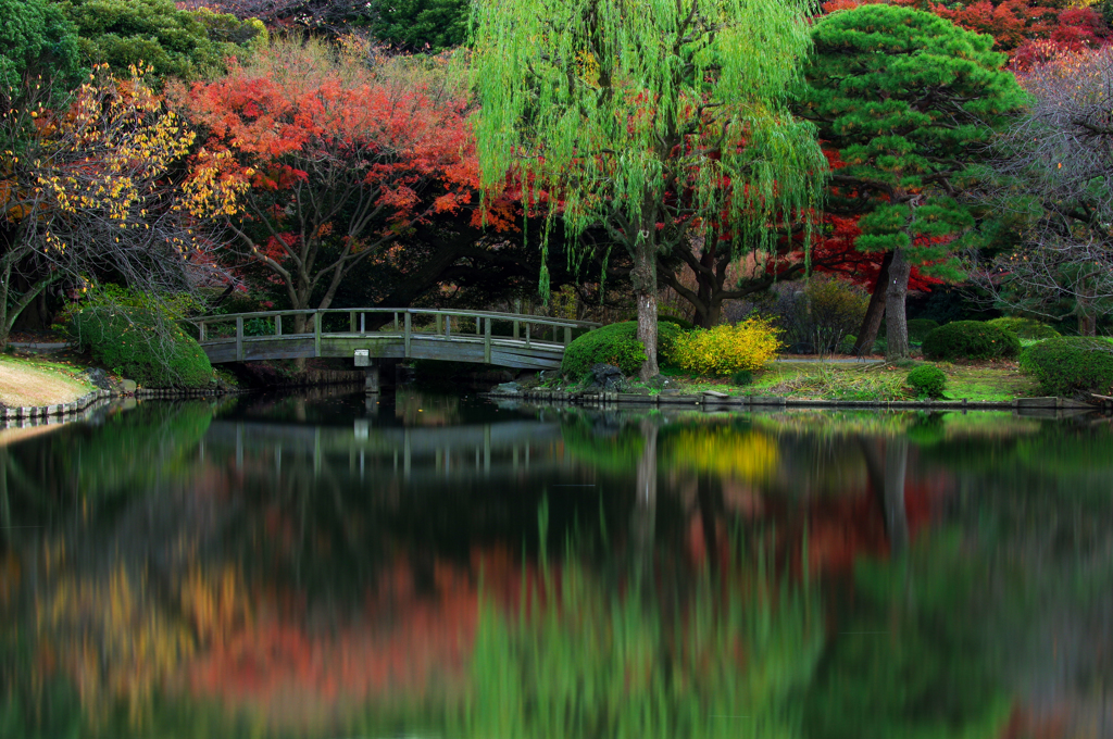 紅の葉の庭