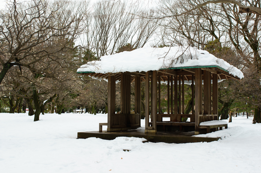雪宿り