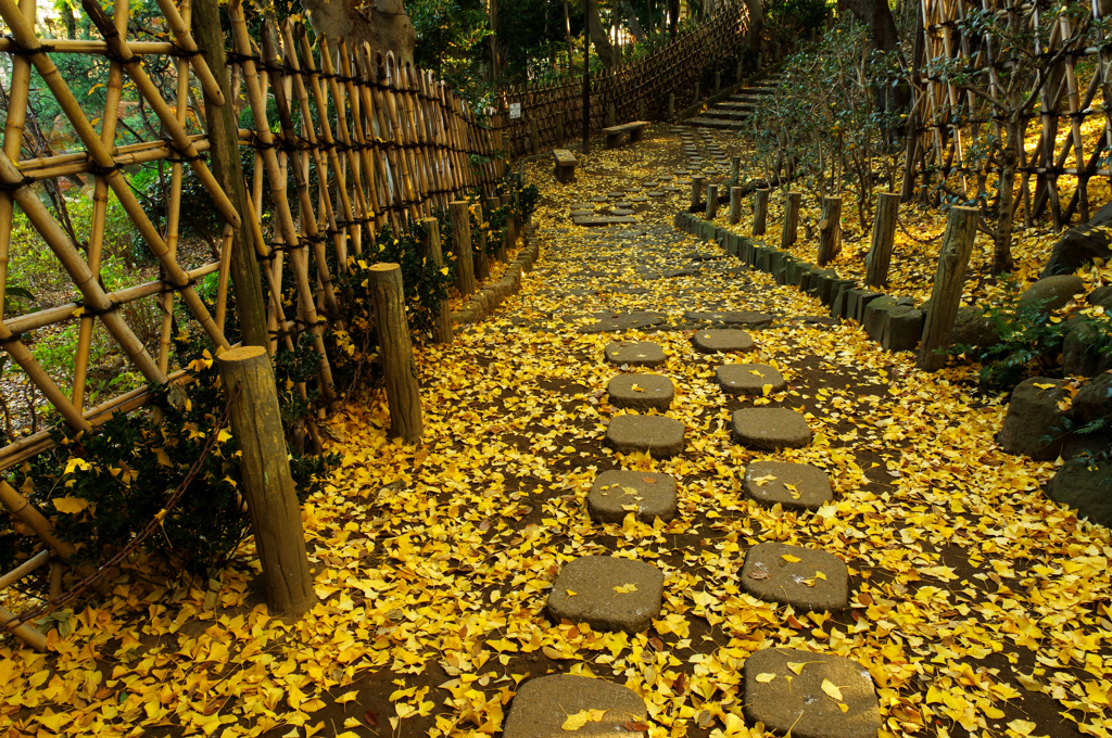 戸越公園（旧細川家回遊式大名庭園）の紅葉