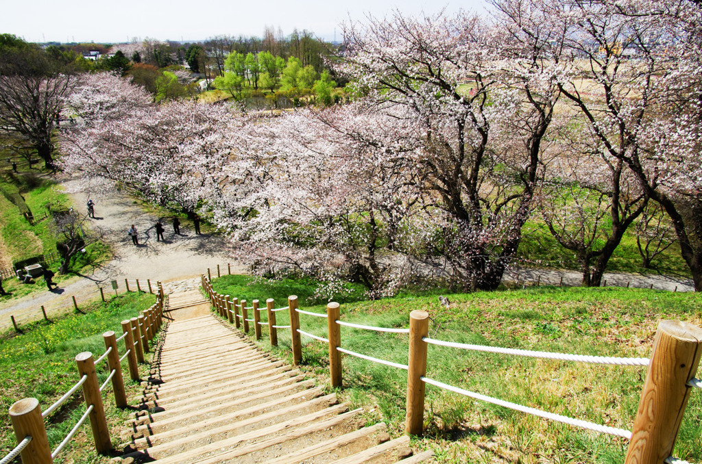 さきたま古墳公園