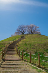 さきたま古墳公園-8