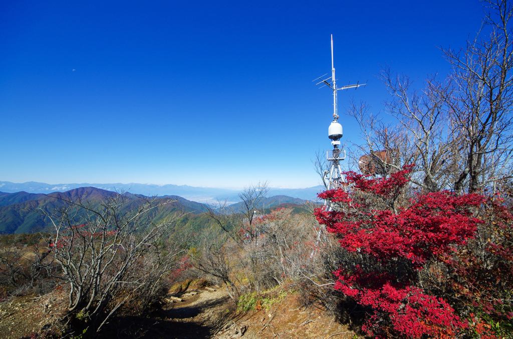 今日も空は蒼かった。