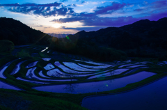 大山千枚田-15