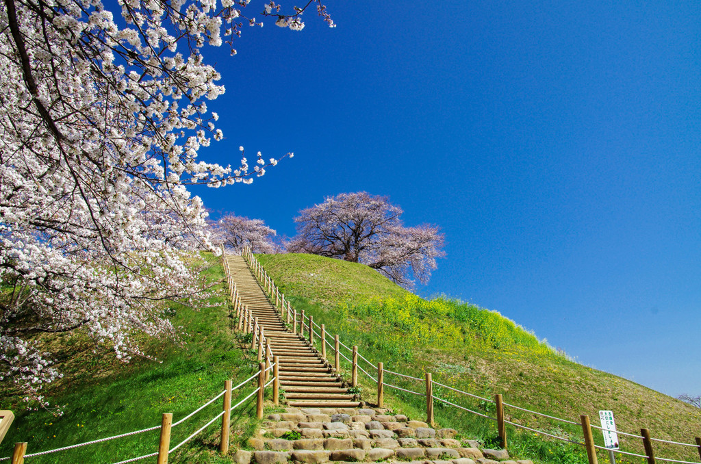 さきたま古墳公園