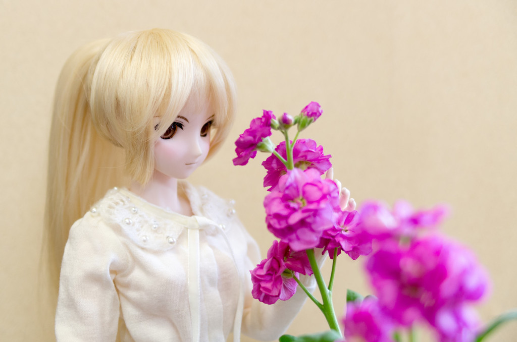 ドールと花