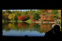 窓辺の紅葉おしい