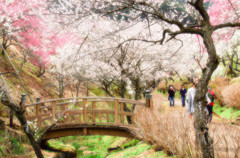 吉野梅郷 梅の公園 その2-7