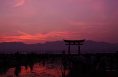 厳島神社　大鳥居夕焼け